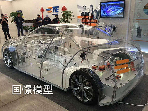 五寨县透明车模型